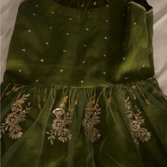 Elegant Green and Gold Embroidered Indian Pakistani Outfit - Picture 3 of 7